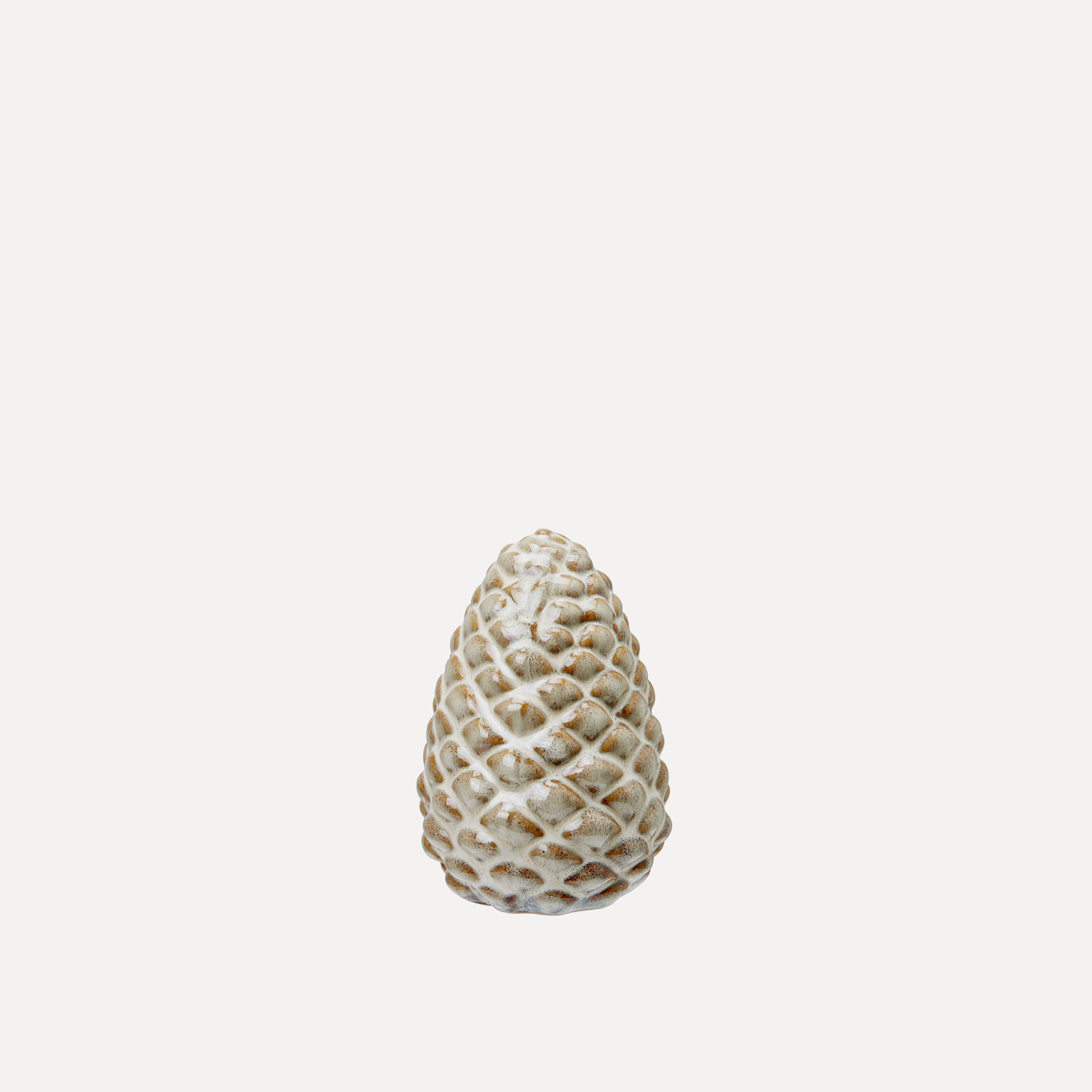 Tannenzapfen Cone - natur