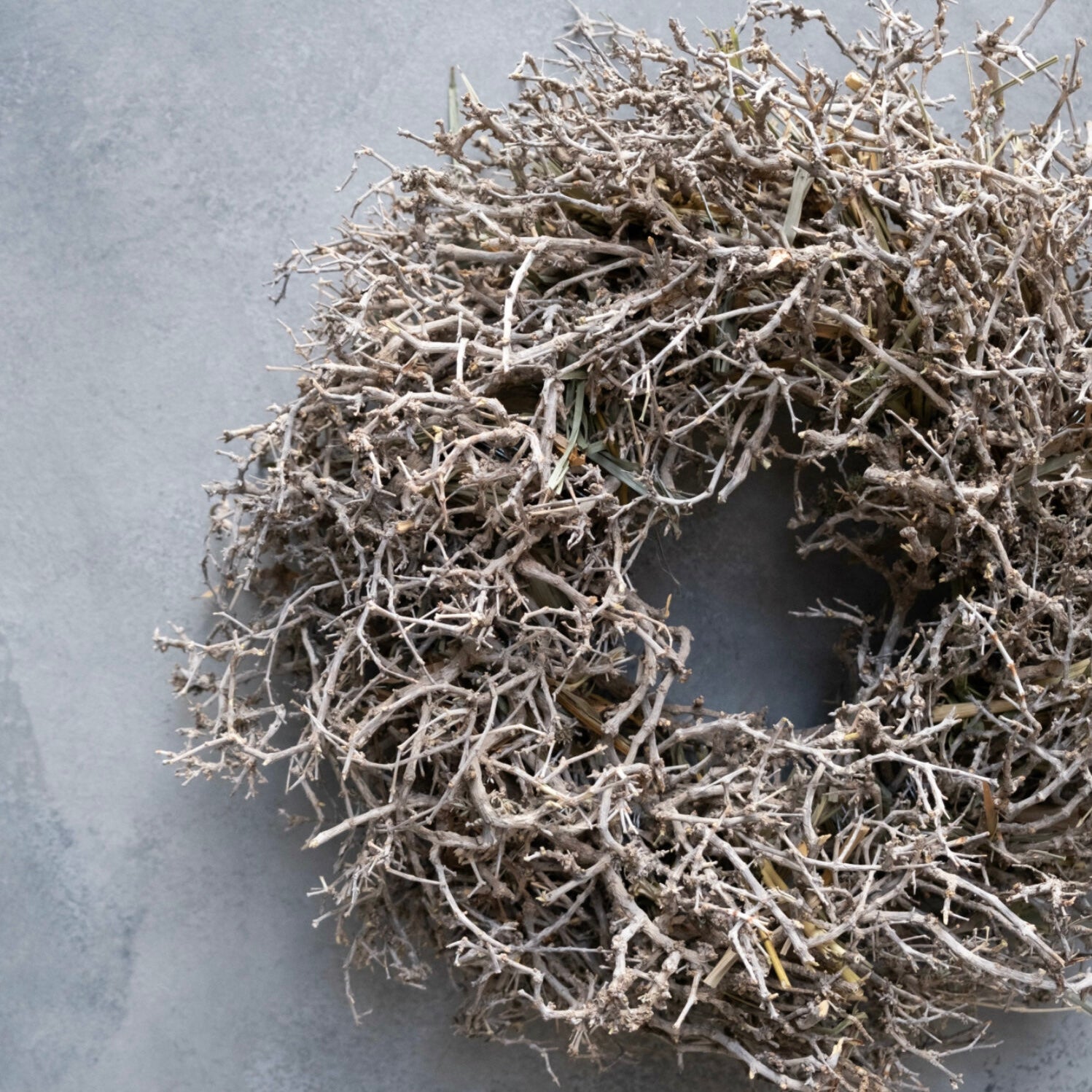 Kranz Desert Bush - natur