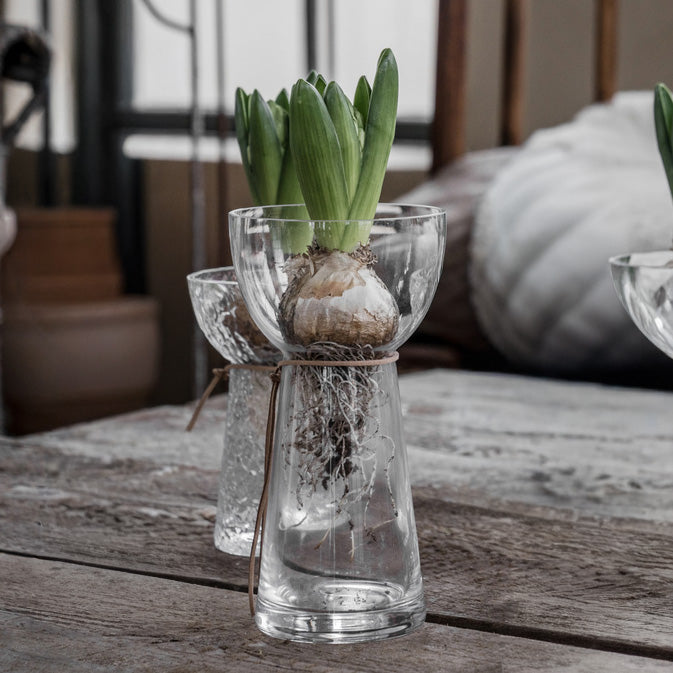 Hyazinthenvase aus Glas - glatt