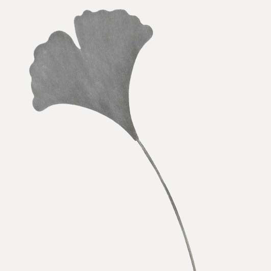 Gartenstecker Gingko - grau