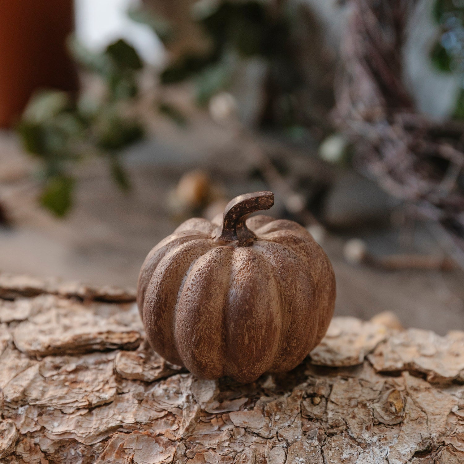 Kürbis rustic -  natur