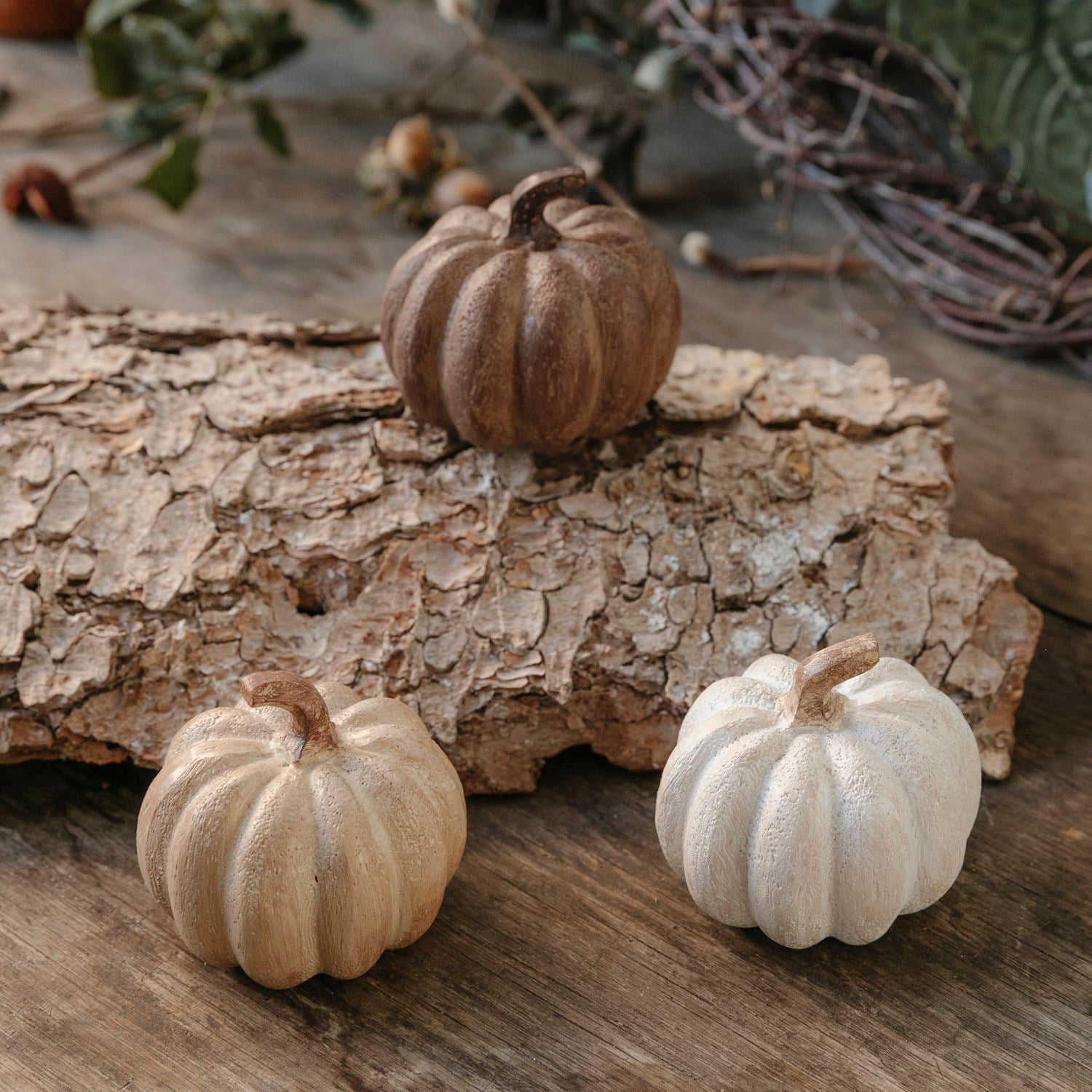 Kürbis rustic -  natur
