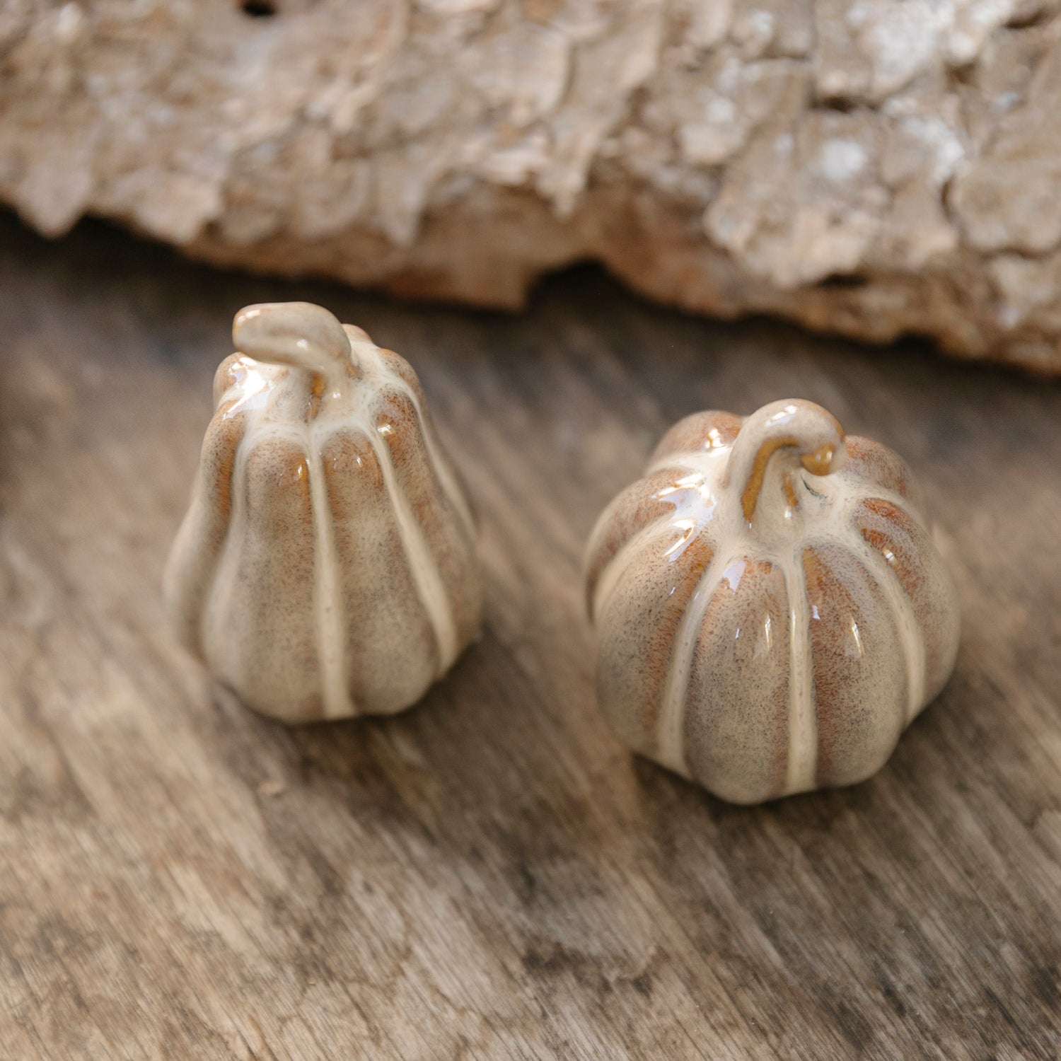 Kürbis Judy rund - beige melange