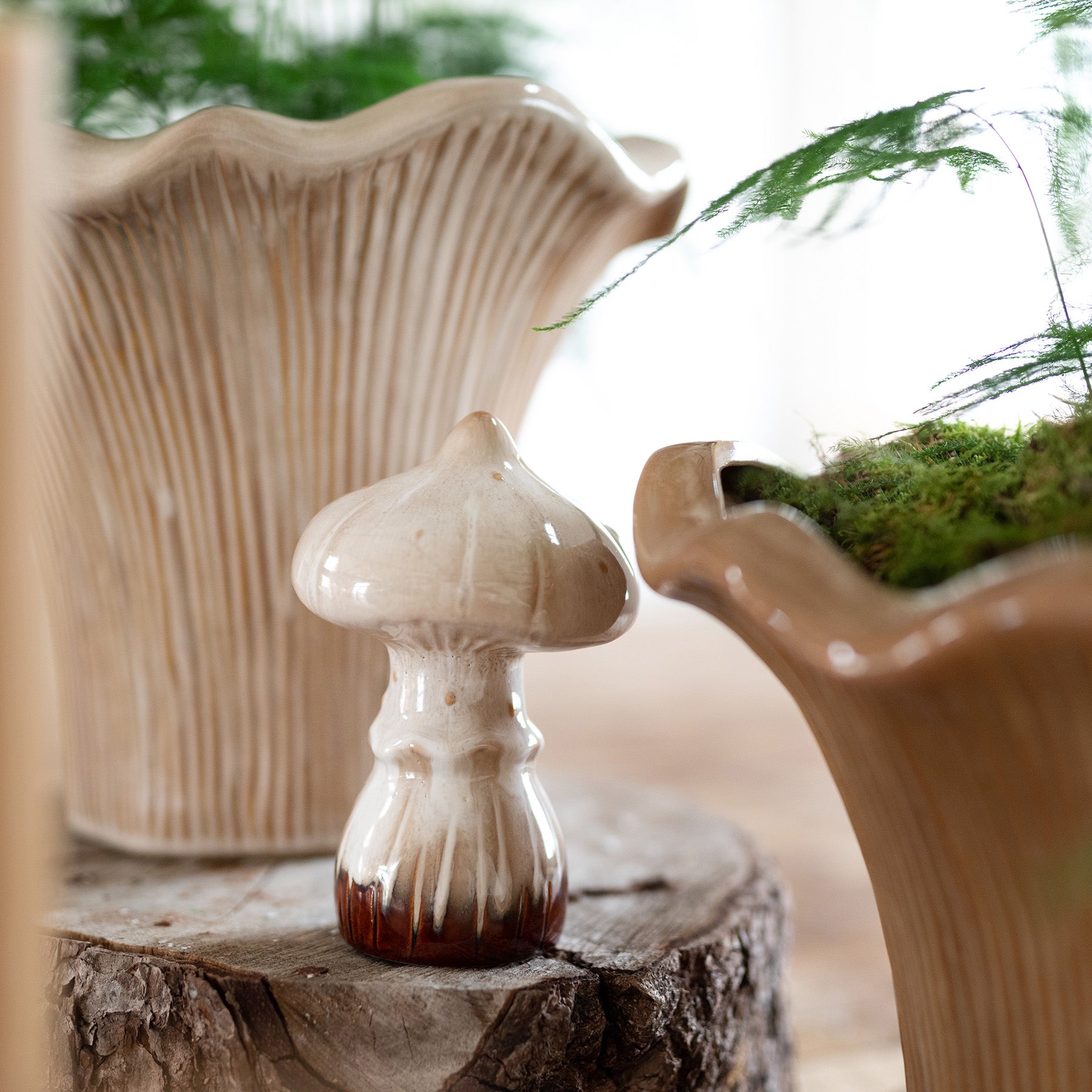 Pilz Flugsvamp - beige