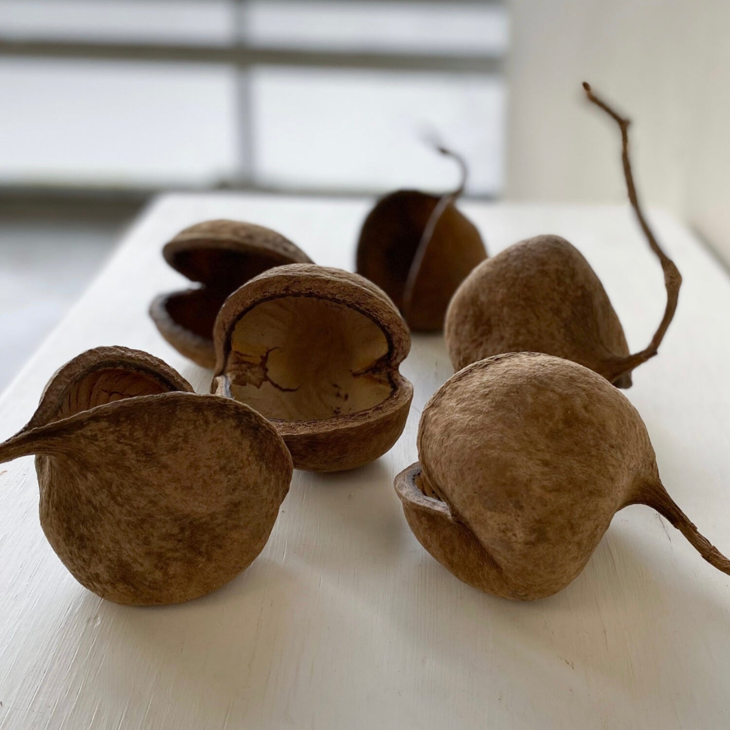 Buddha nuts - natur