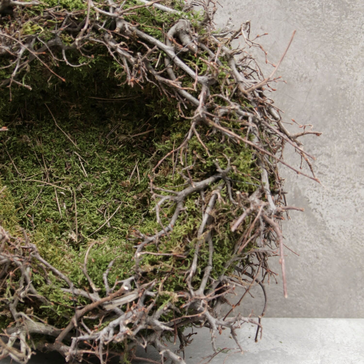 Moos Nest mit Bonsai - braun grün