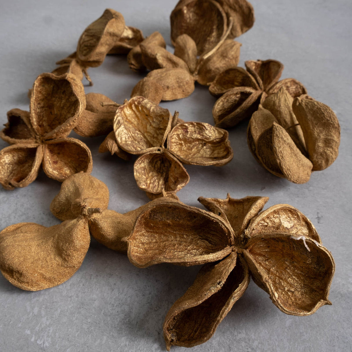 Landlotus Blüten - gold