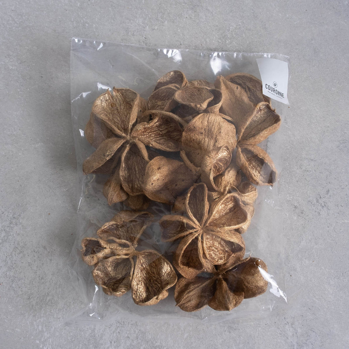 Landlotus Blüten - light gold