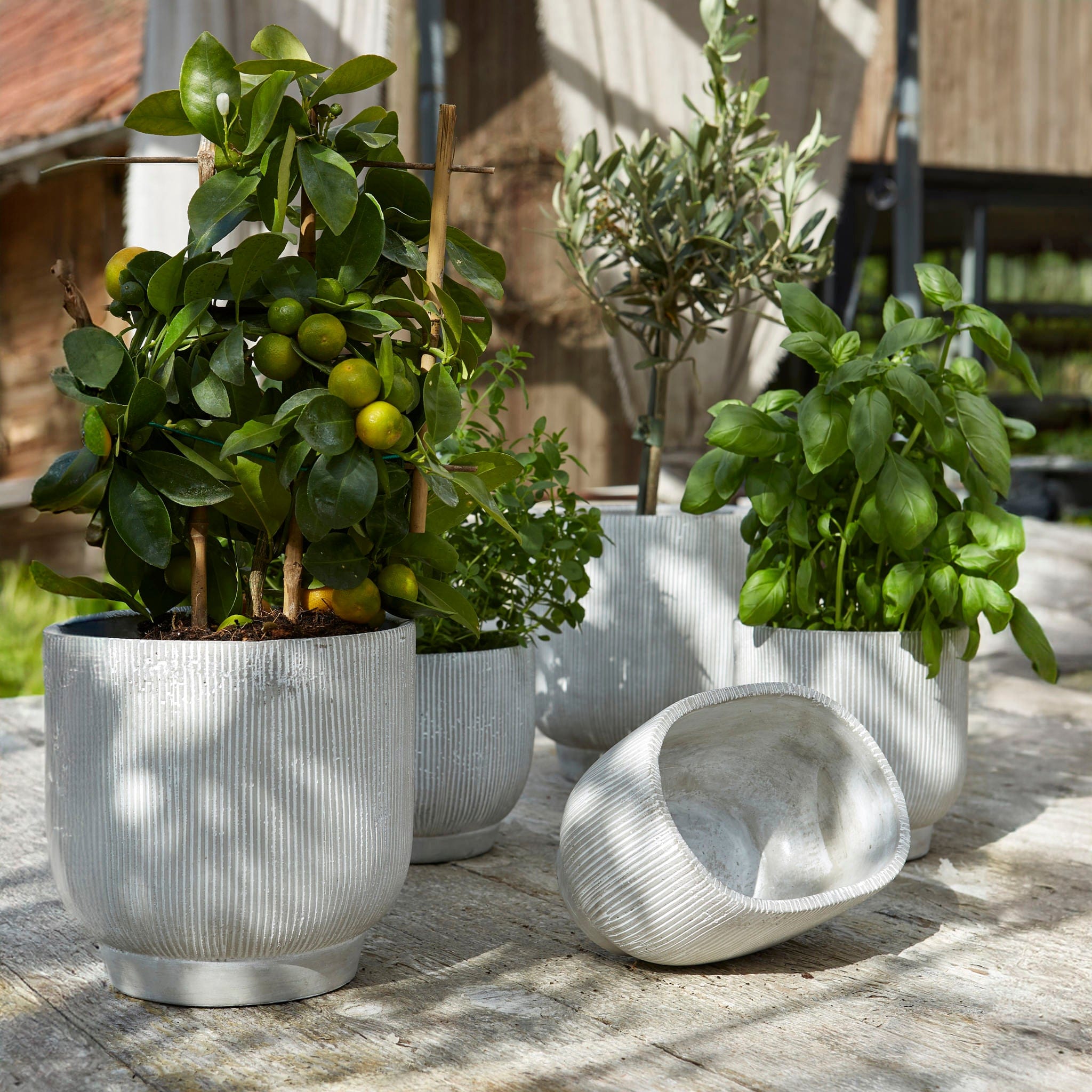 Schale Nola oval aus Beton - grau