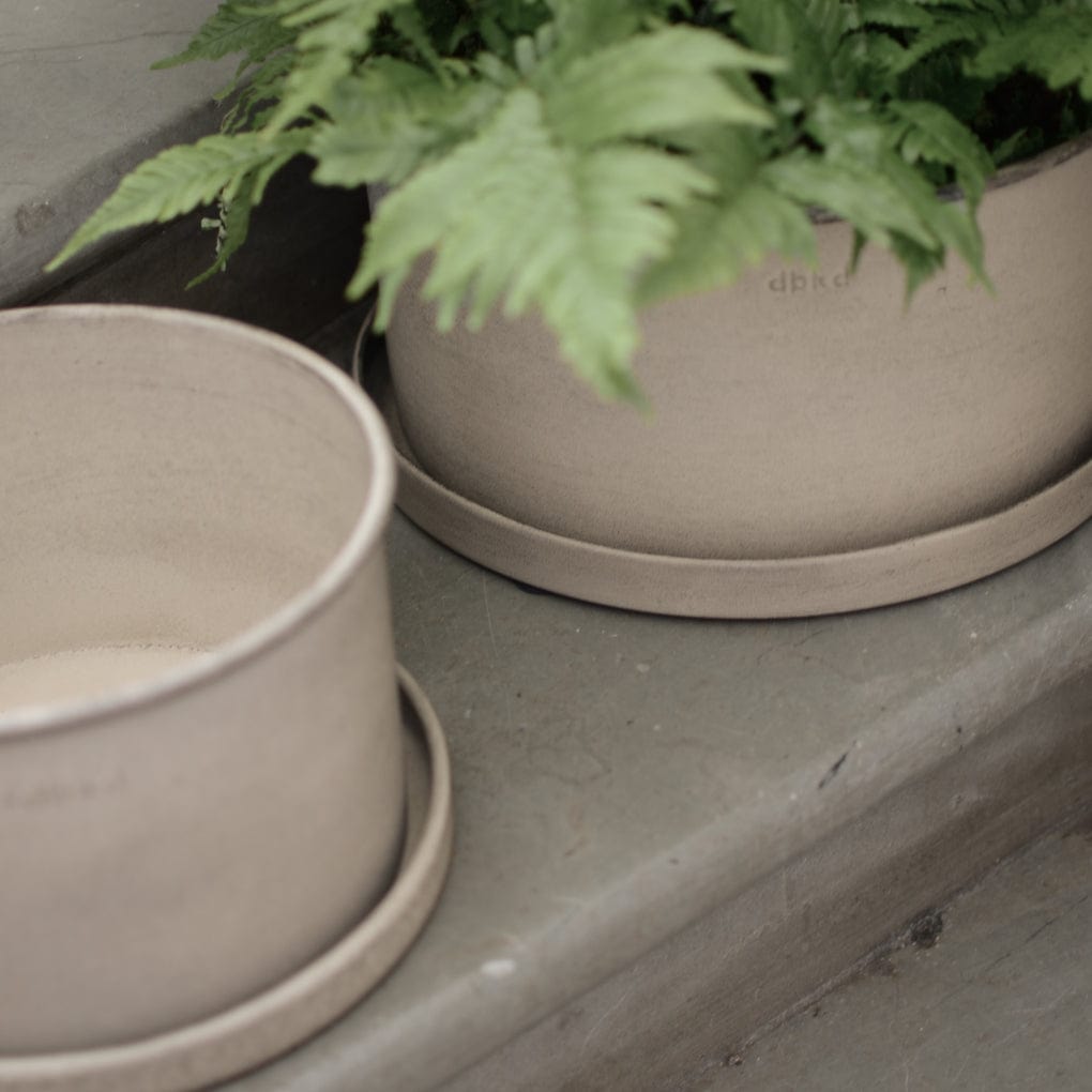 Pflanzschale Plant - beige