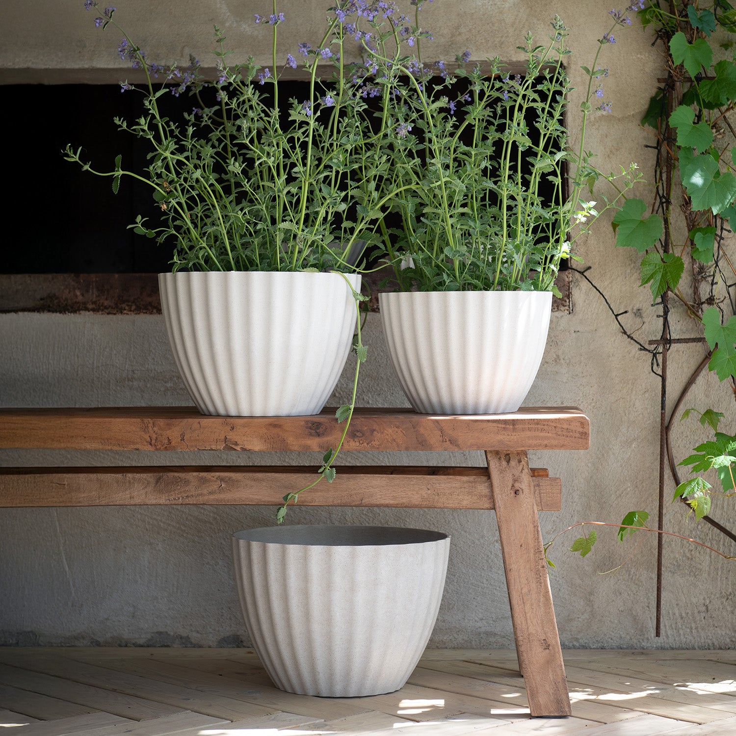 Pflanztopf Yvette - cremeweiß