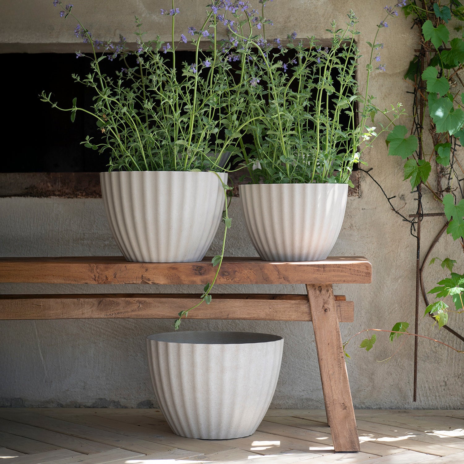 Pflanztopf Yvette - creme