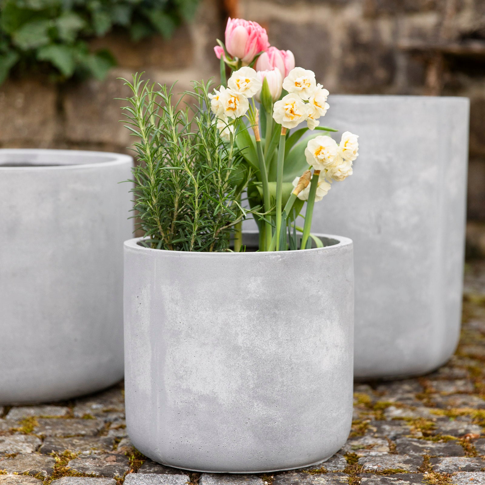 Pflanztopf Basic - grau