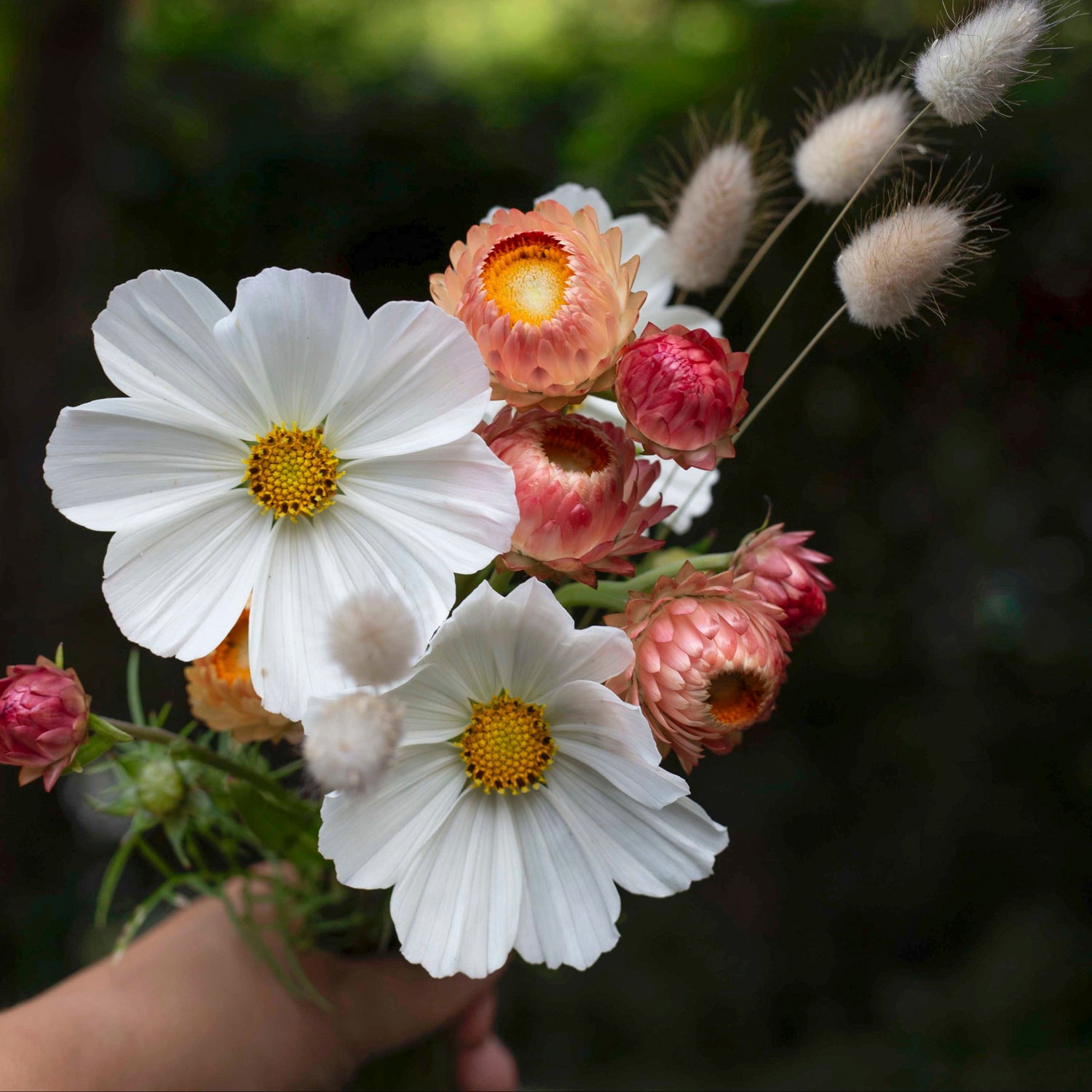 Blumensamen Schmuckkörbchen Afternoon White