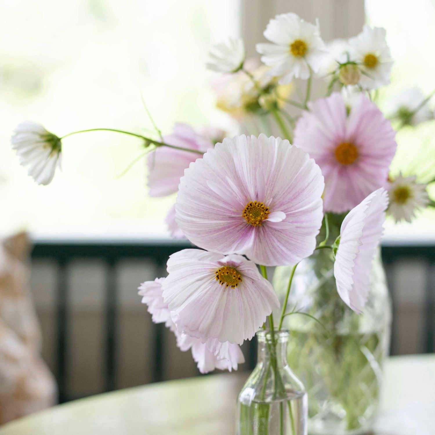 Blumensamen Schmuckkörbchen Cupcake Blush