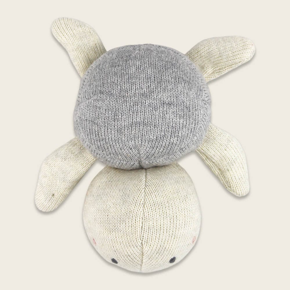 Babyrassel Schildkröte - grau
