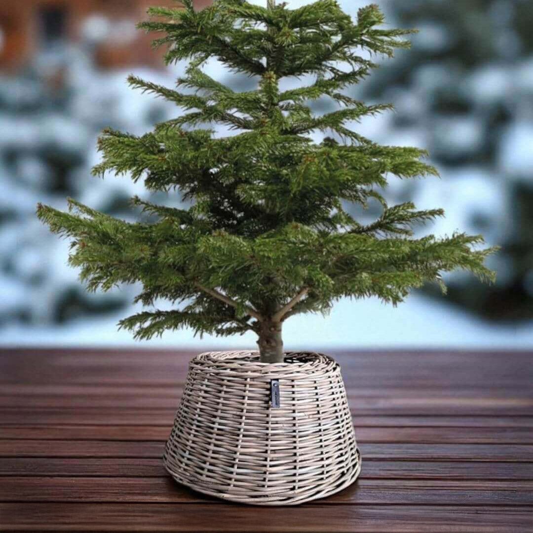 Rattan Übertopf & Weihnachtsbaum-Abdeckung - Kubu
