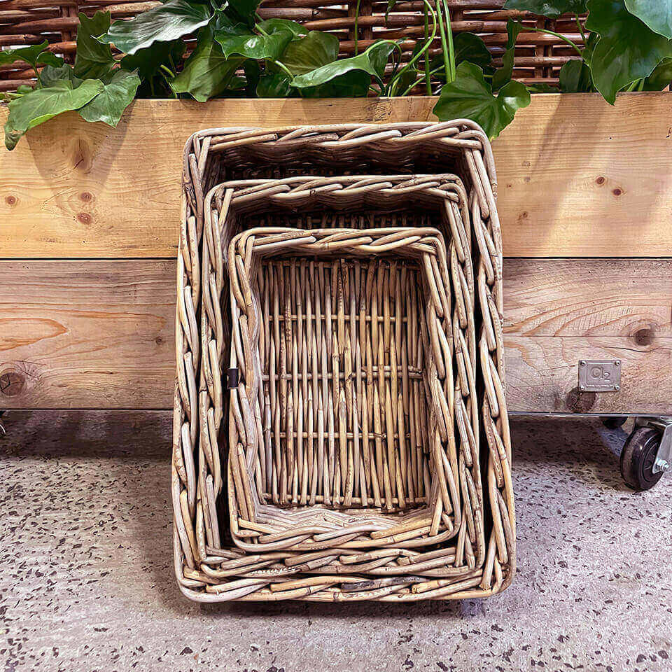 Rattan Schale Kubu - eckig