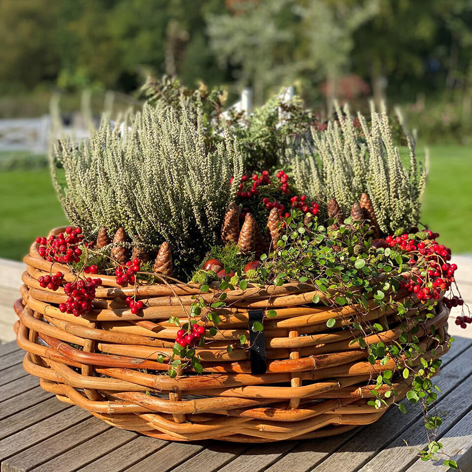 Rattan Schalen - rund