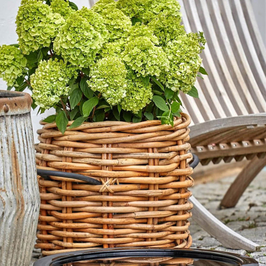 Rattan Korb rund maxi low - 45x39cm