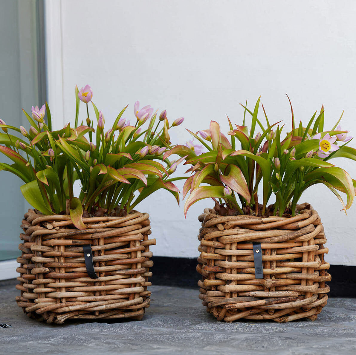 Rattan Korb eckig mini low - 27x24cm