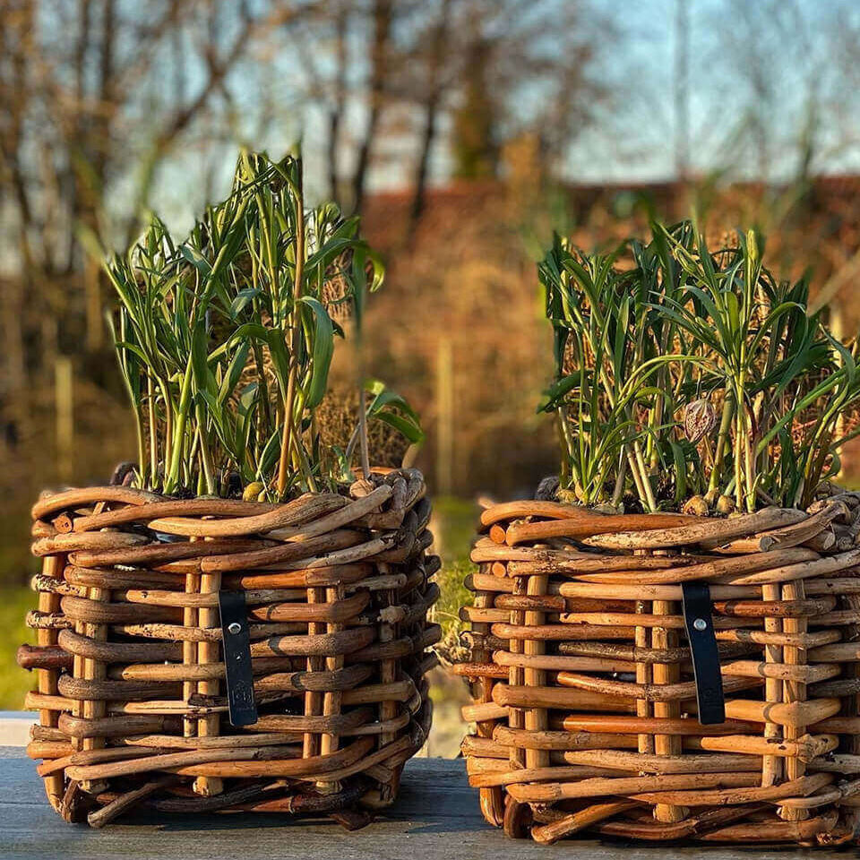 Rattan Korb eckig mini low - 27x24cm