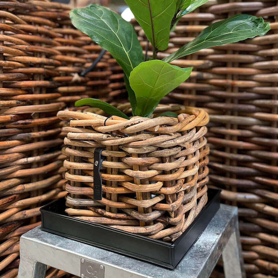 Rattan Korb eckig mini low - 27x24cm