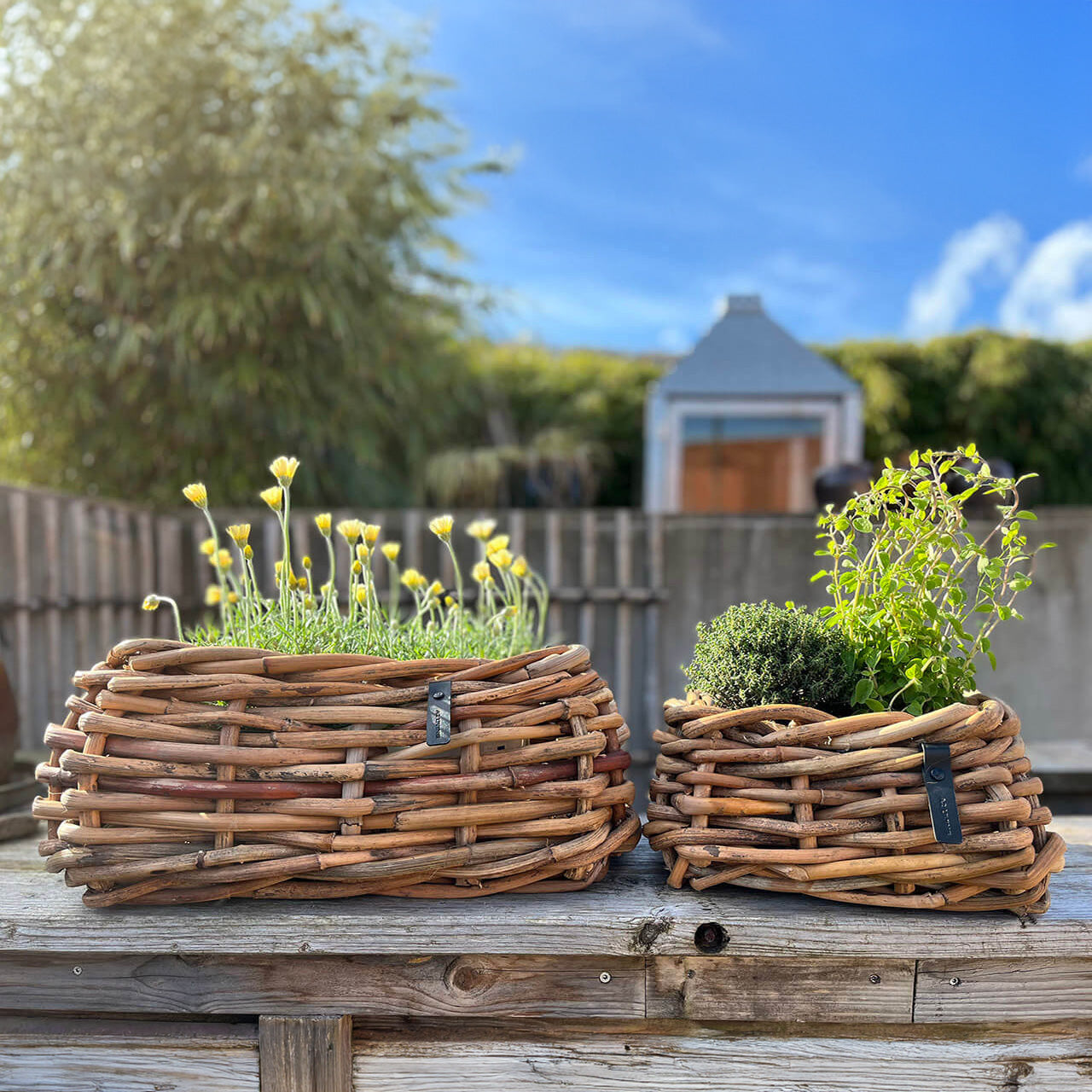 Rattan Schalen - eckig