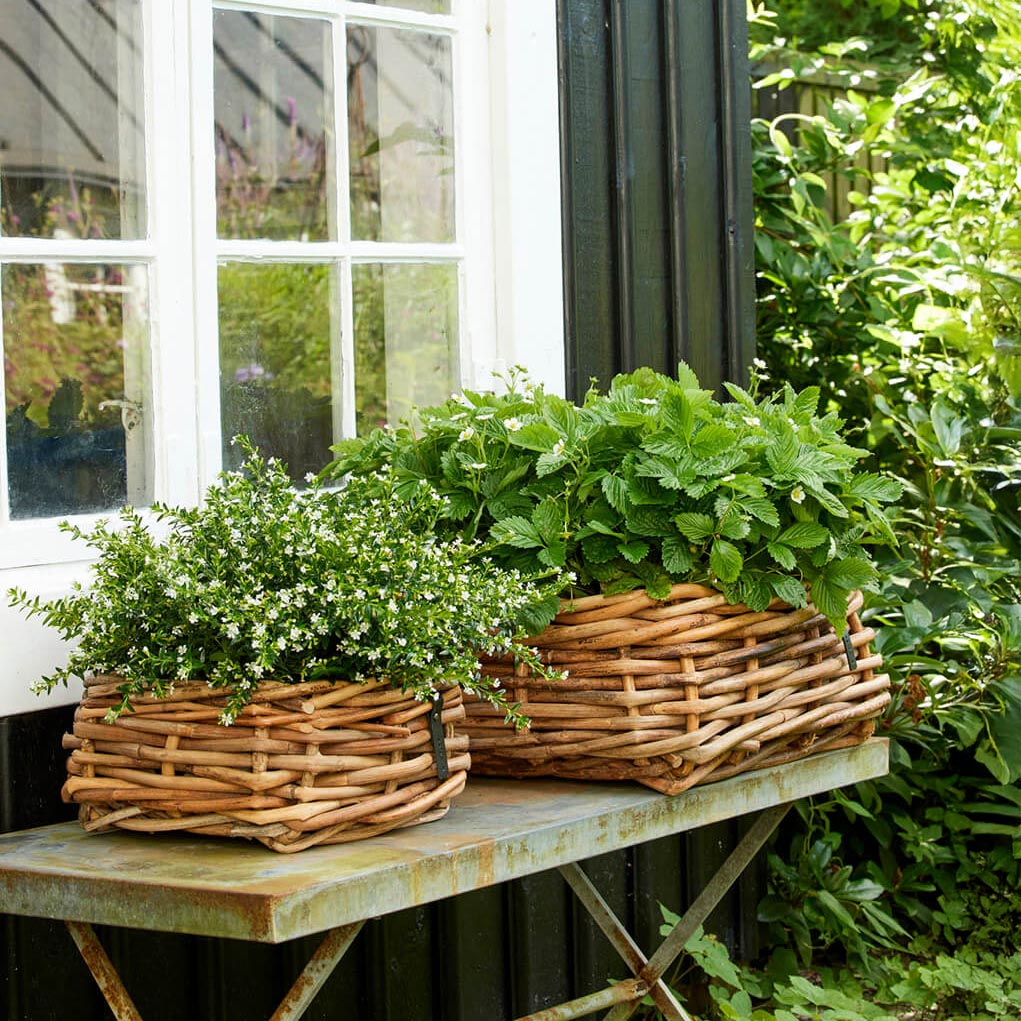 Rattan Schalen - eckig