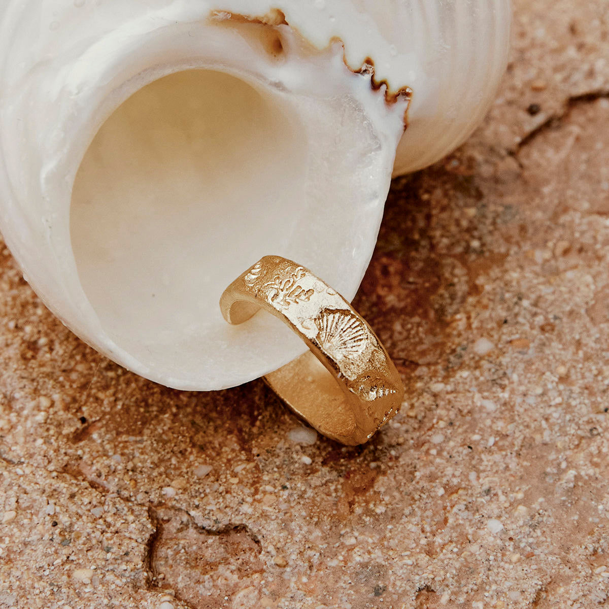 Ring Nucella - gold