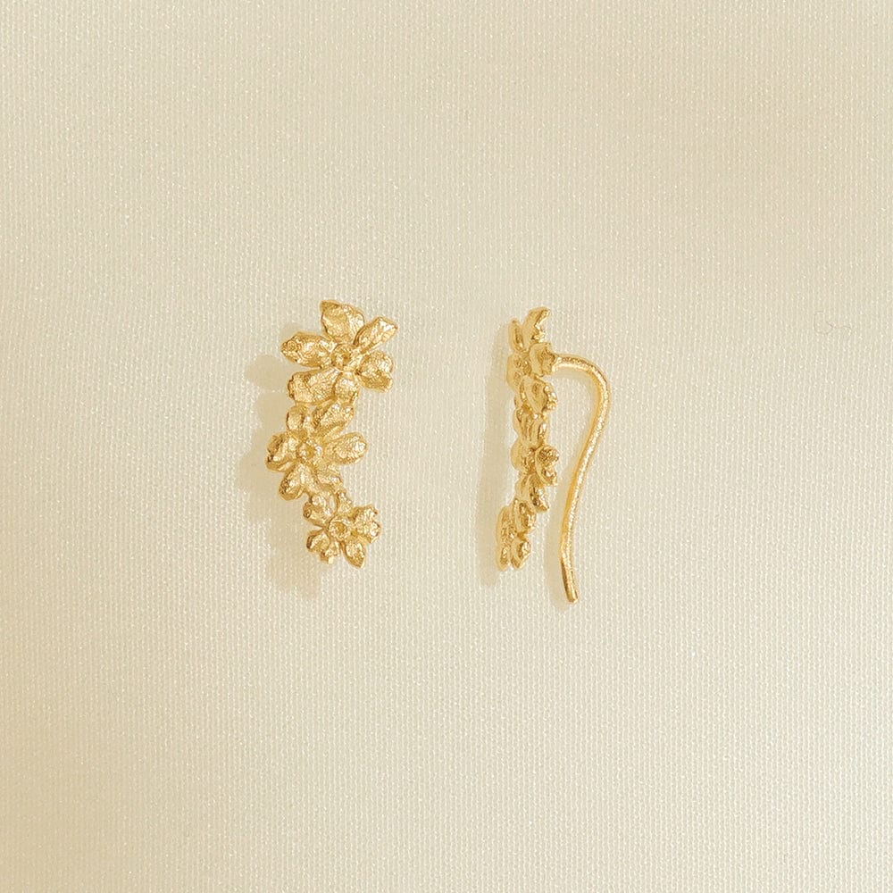 Ohrringe Rosaria - gold