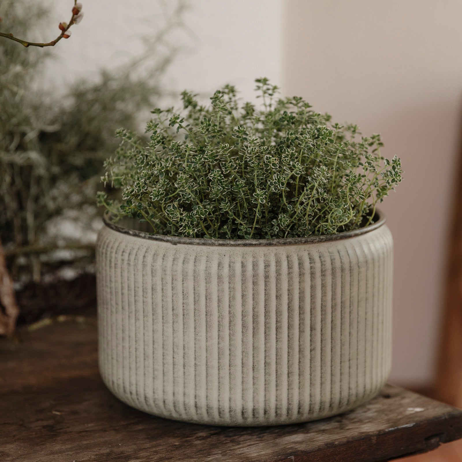 Pflanzschale Hage Stripe - grau