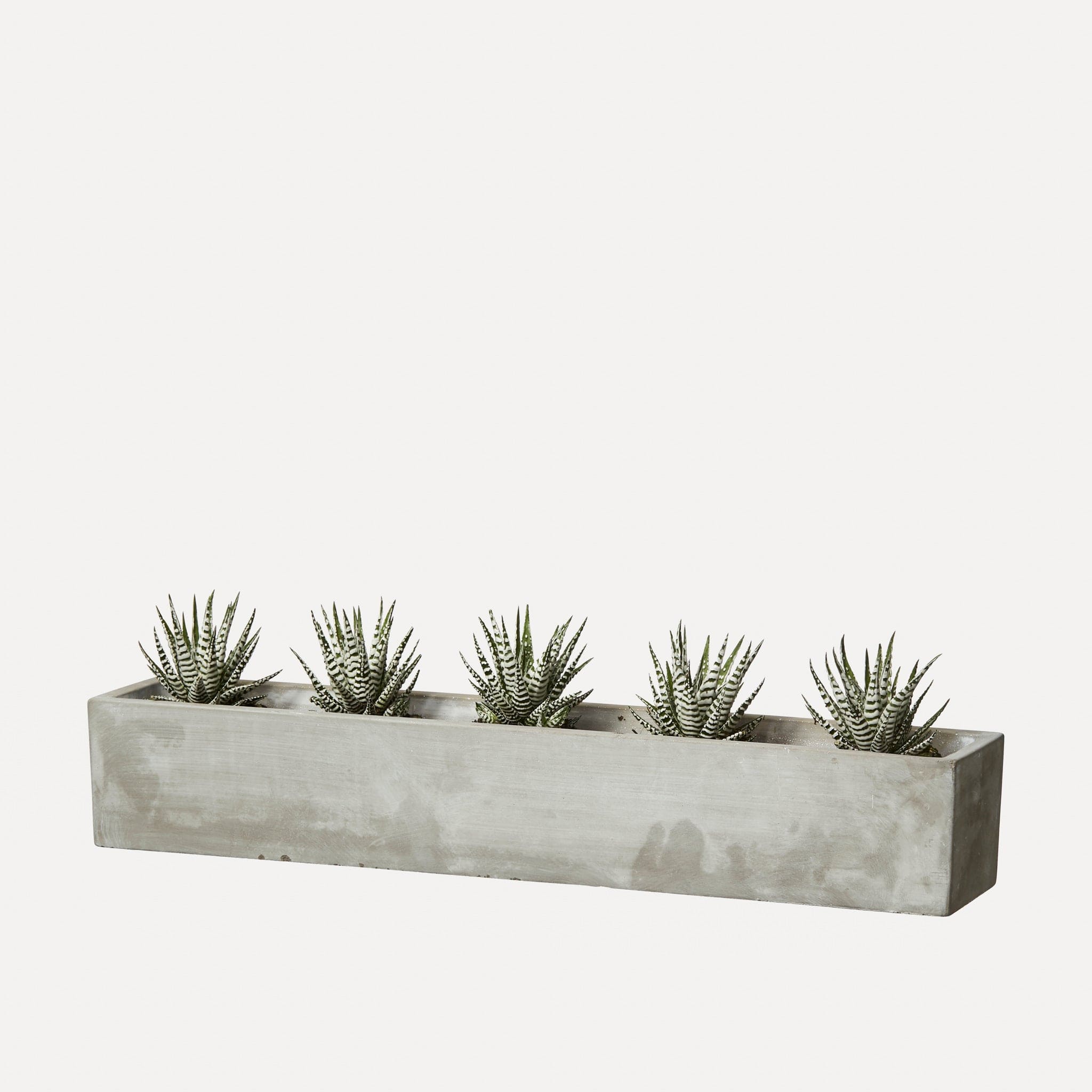Schale Siri eckig aus Beton - grau