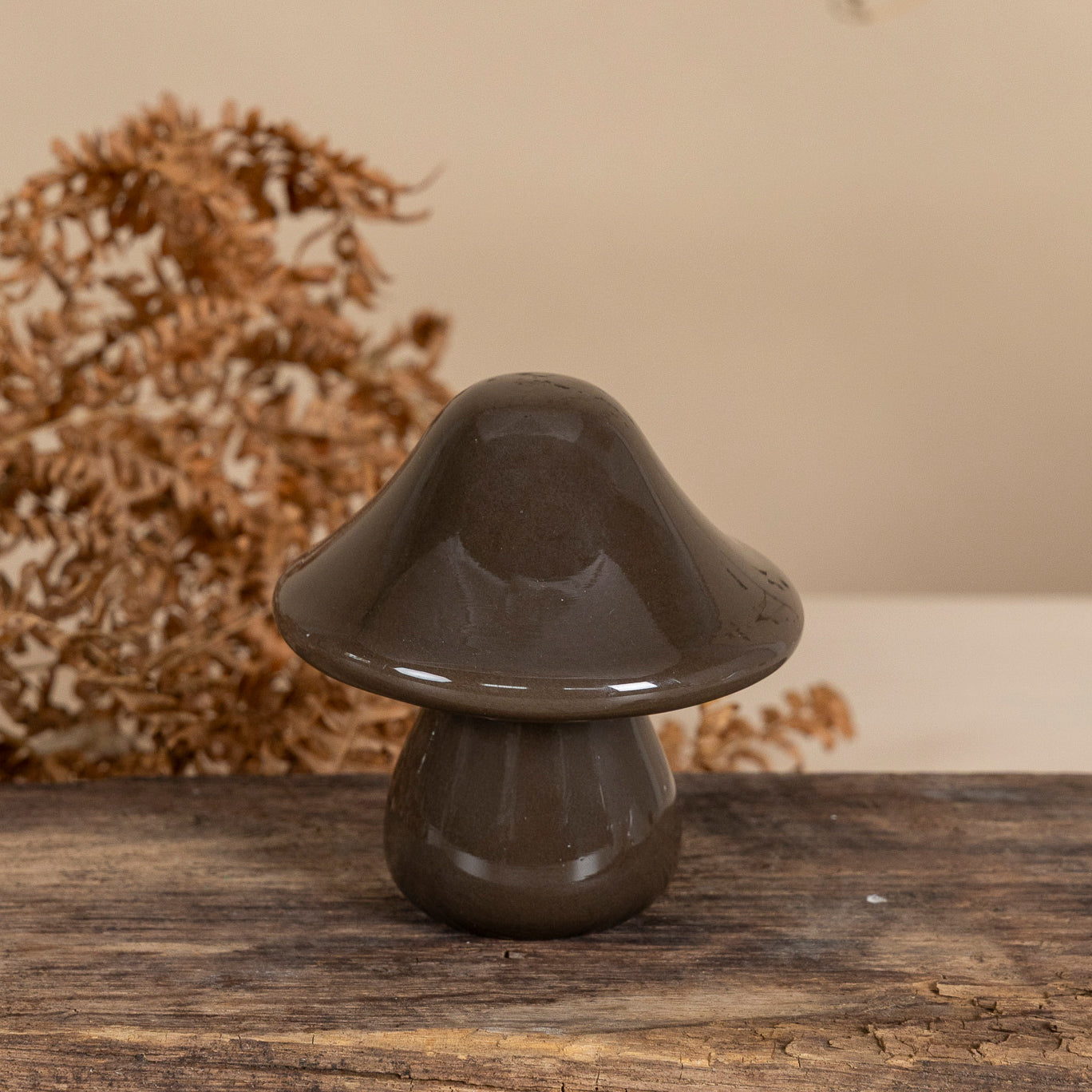 Pilz Mossbacken - braun