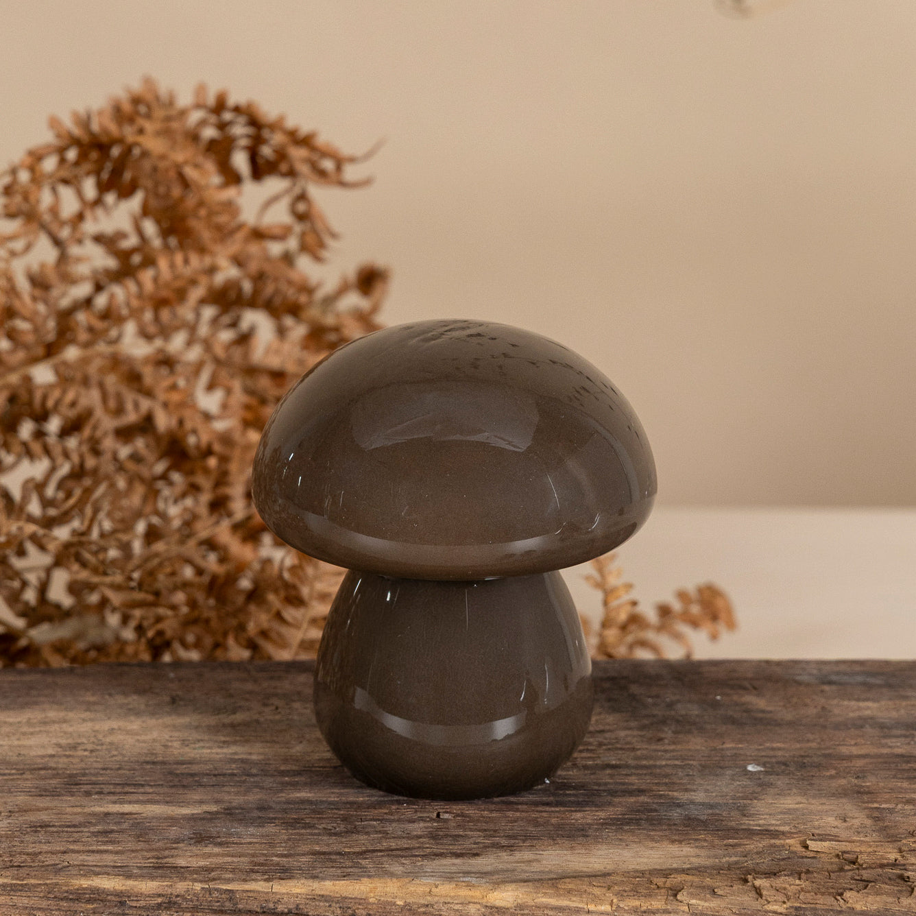 Pilz Skogsbacken - braun