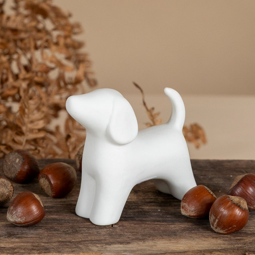 Hund Alve - weiß