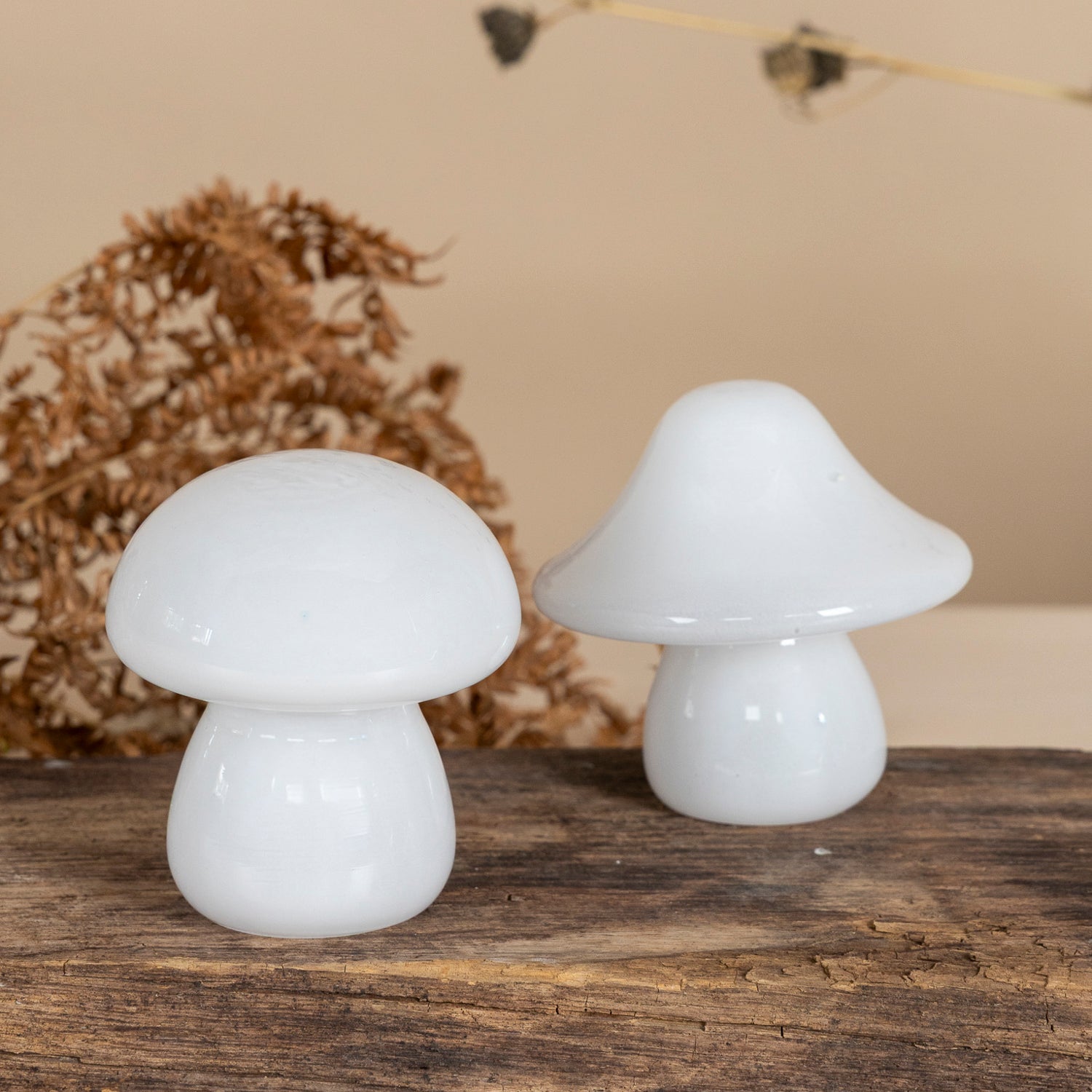 Pilz Skogsbacken - weiß