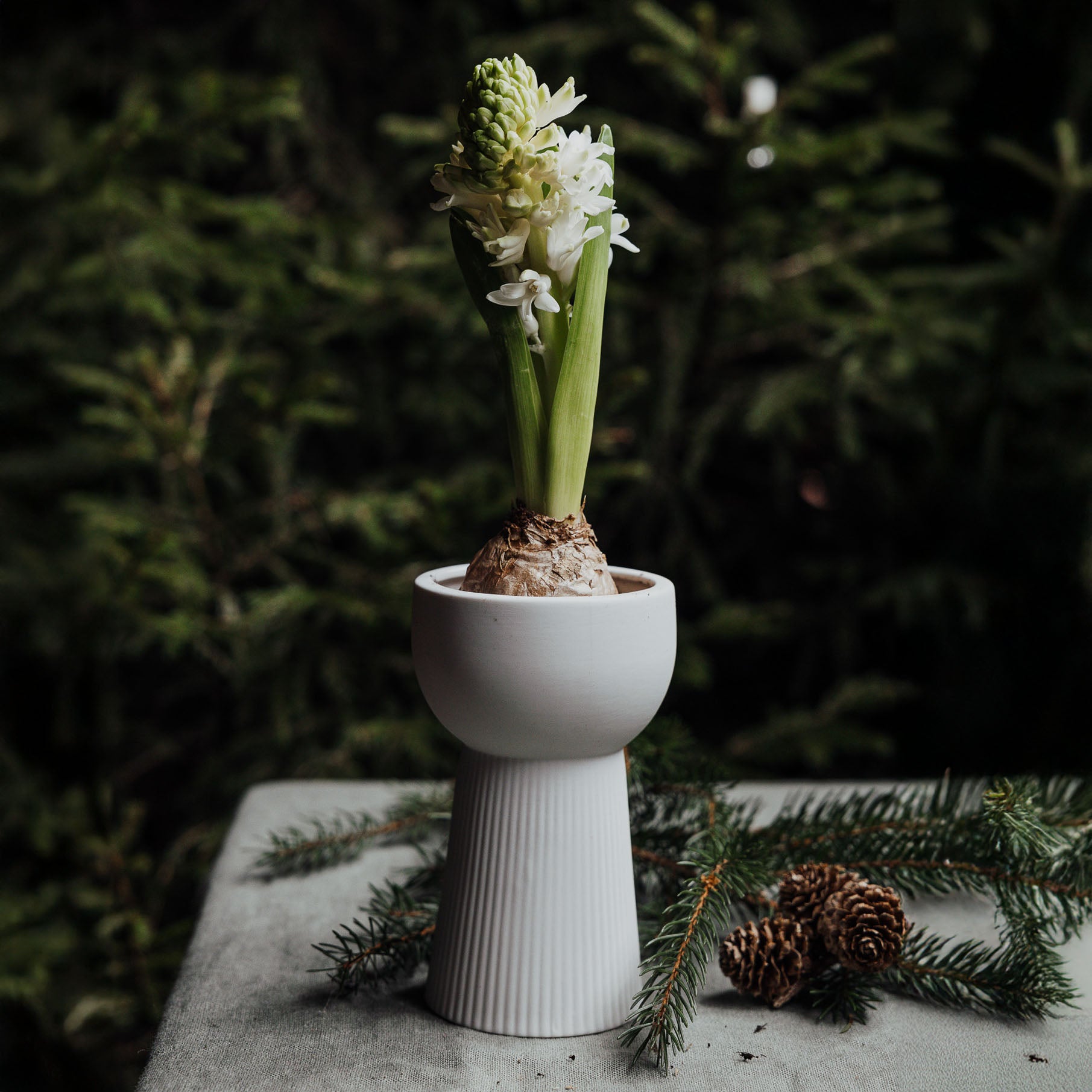Vase Leryd - weiß