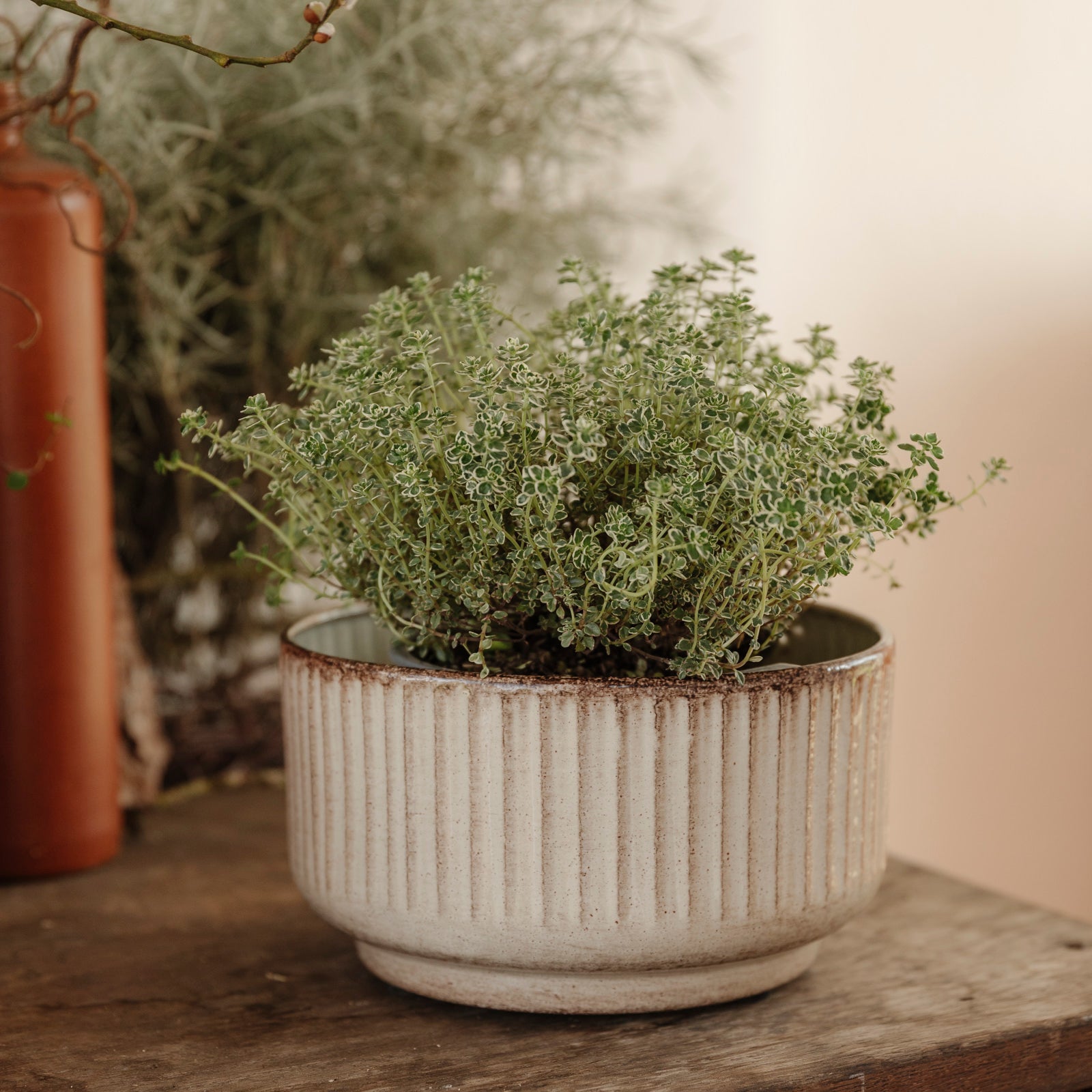 Pflanzschale Jord Stripe - beige