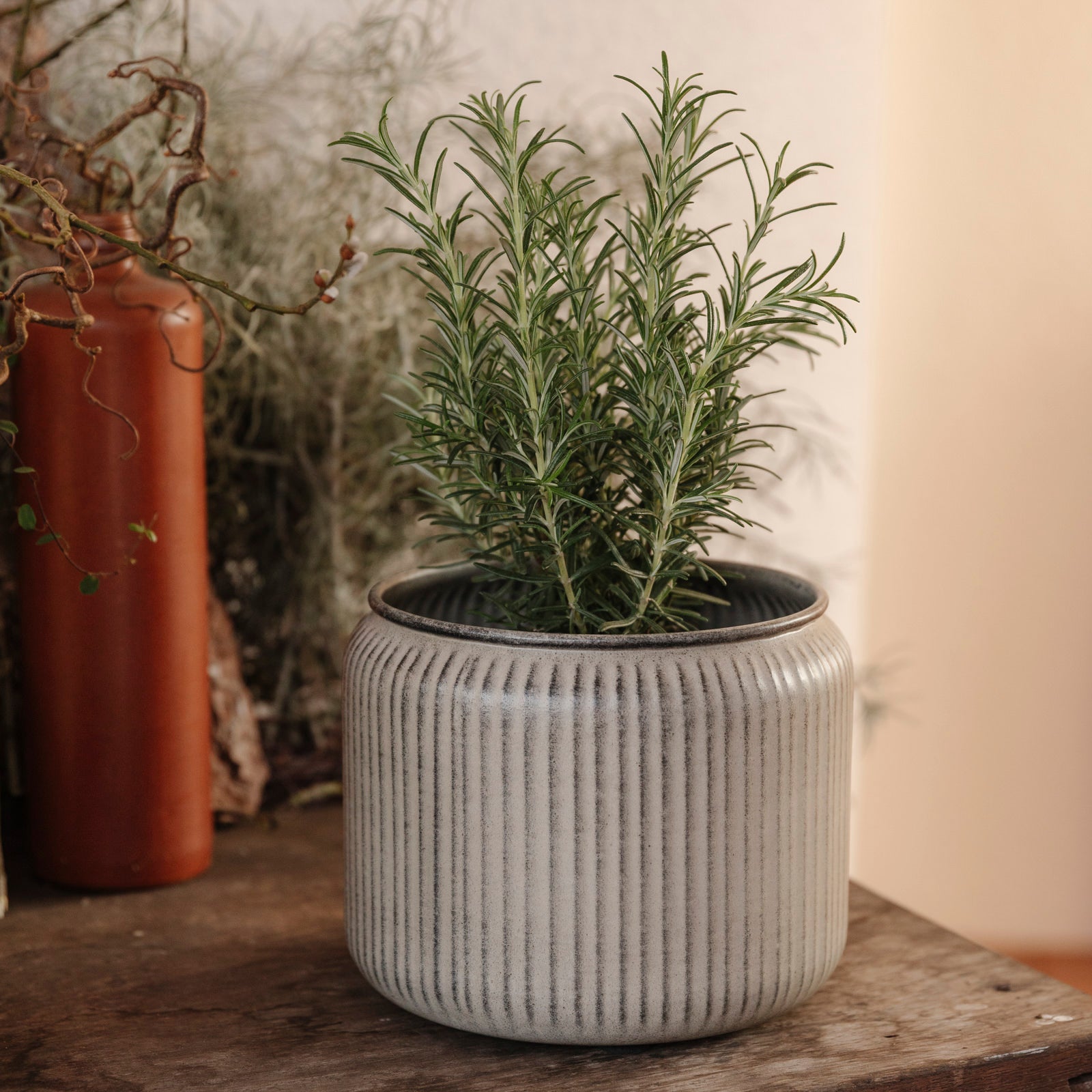 Pflanztopf Hage Stripe - grau