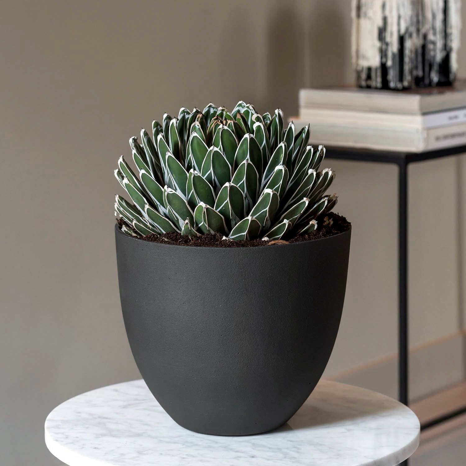 Pflanztopf Coral - volcano black