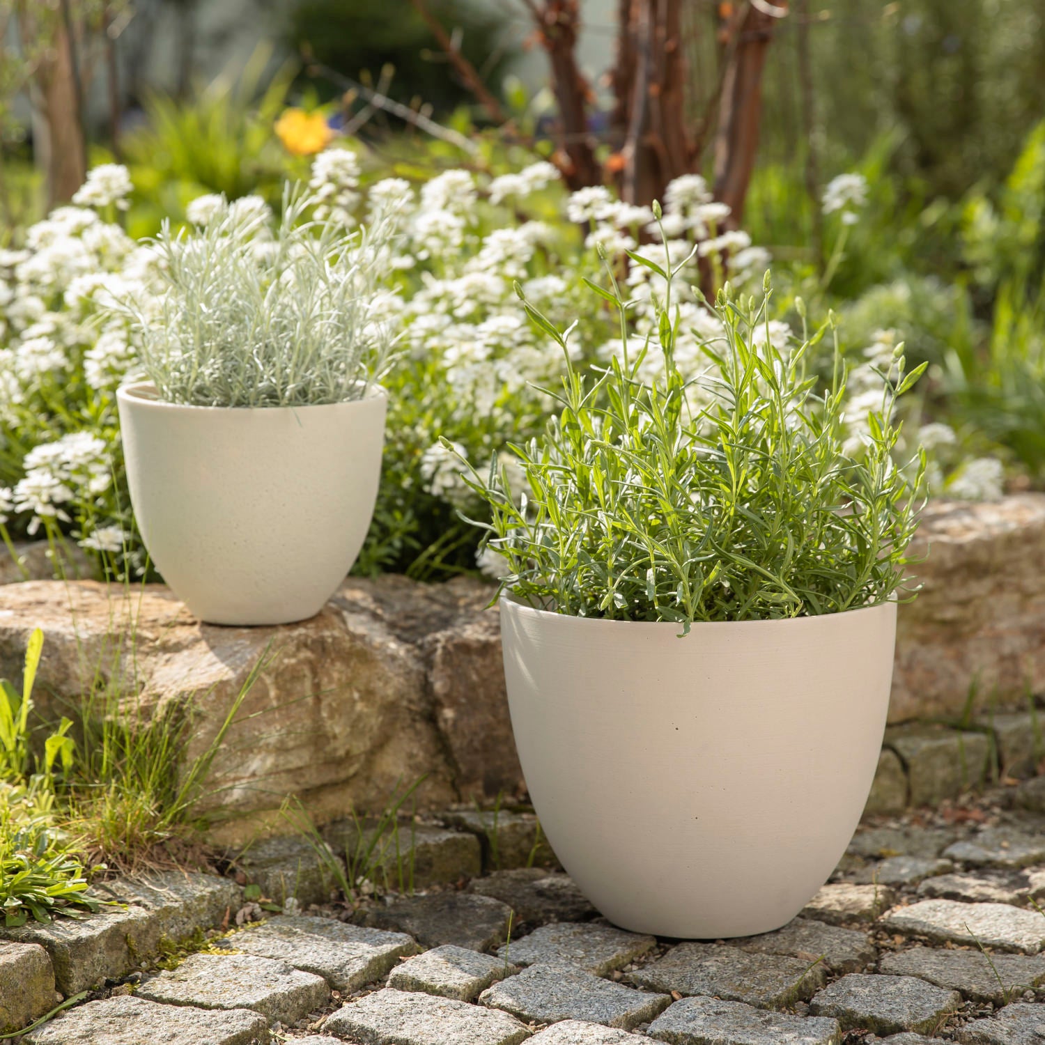 Pflanztopf Coral - natural white
