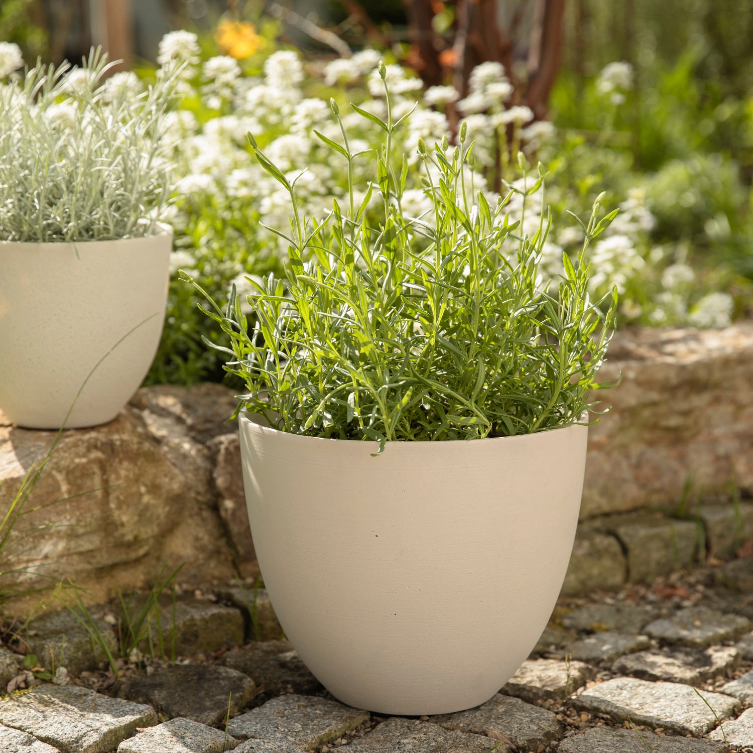 Pflanztopf Coral - natural white