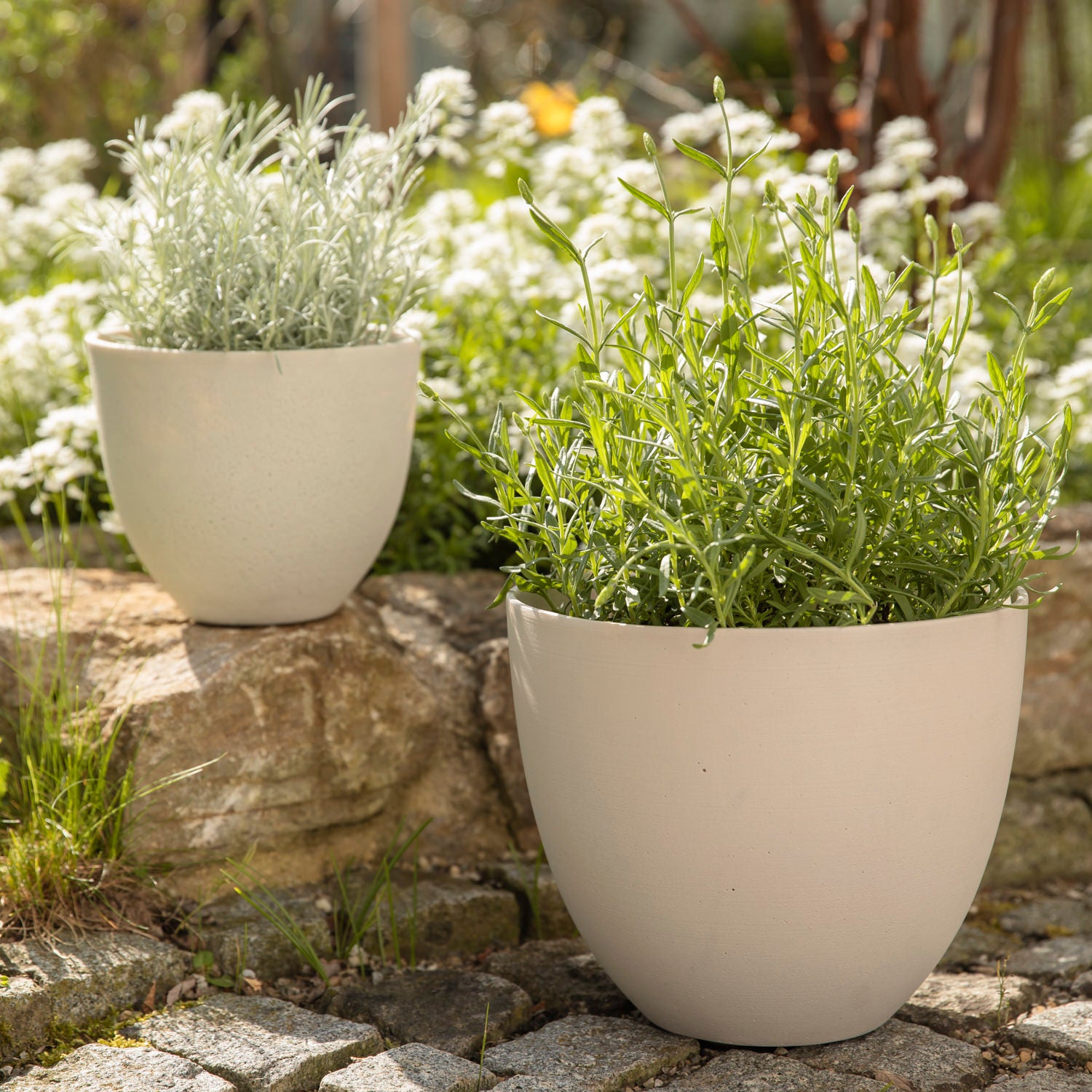 Pflanztopf Coral - natural white