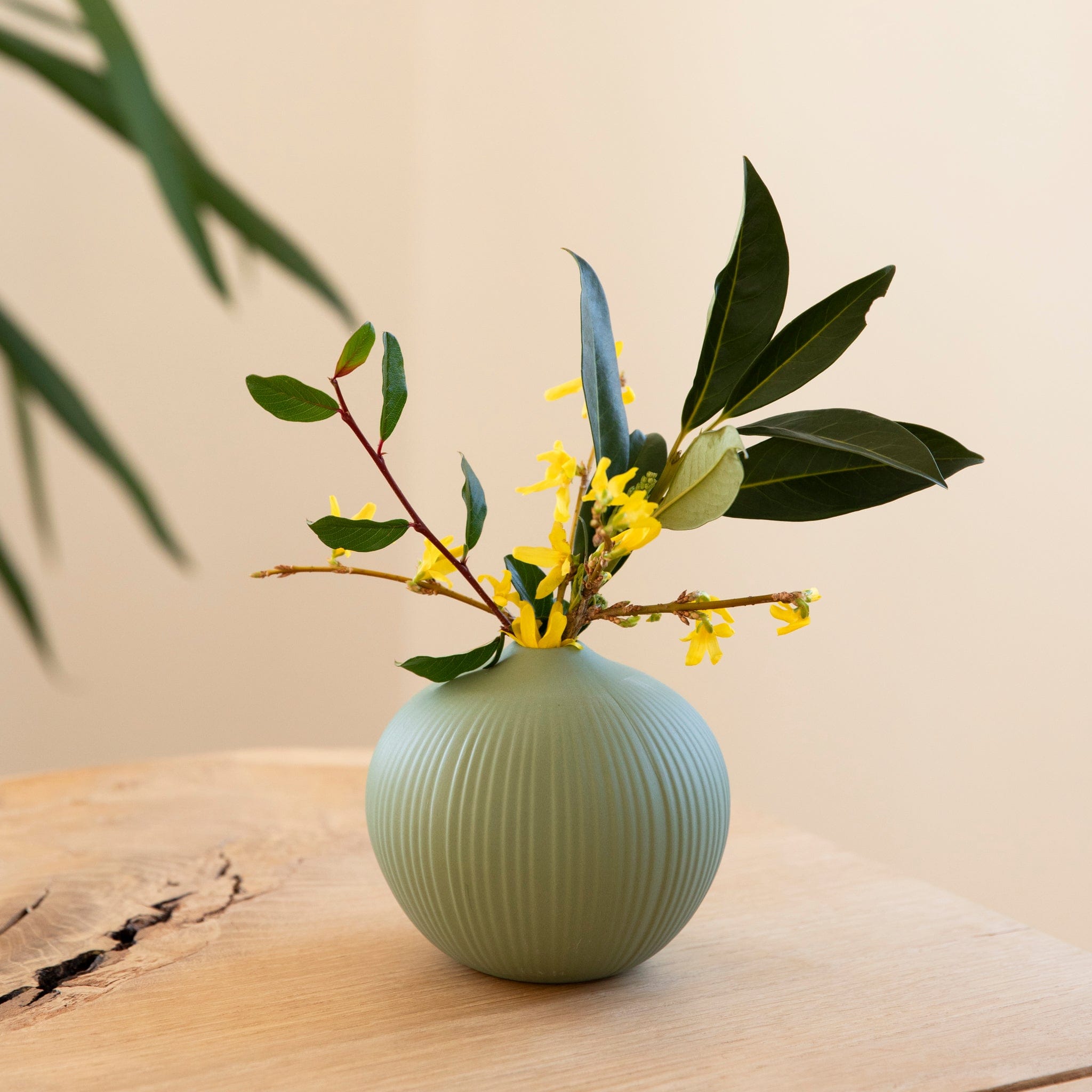 Vase Linde - grün