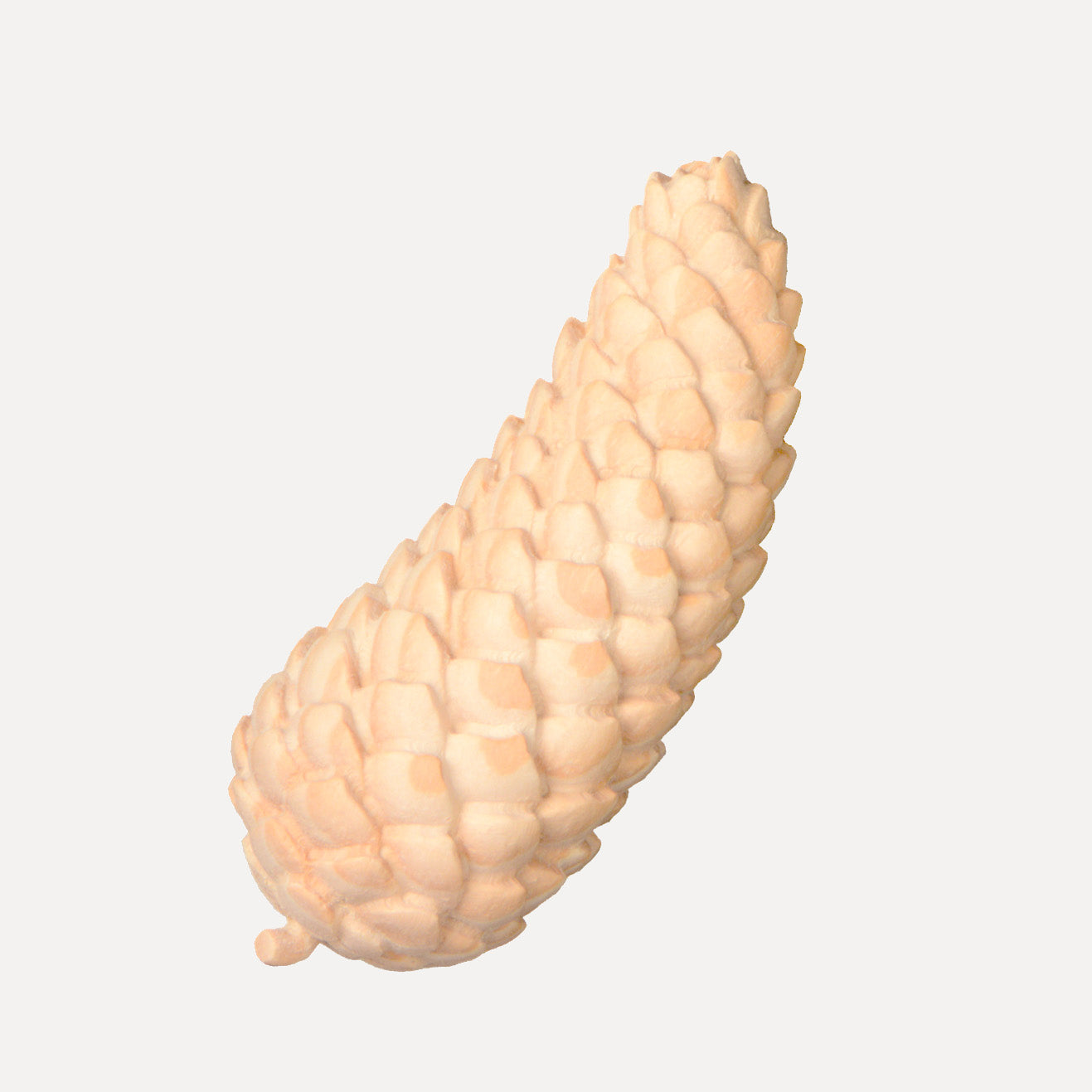 Fichtenzapfen - Zirbenholz