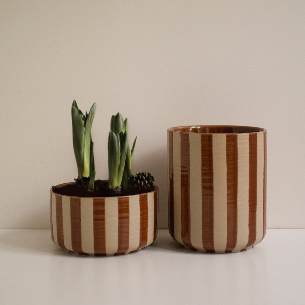 Schale Line - stripe nougat