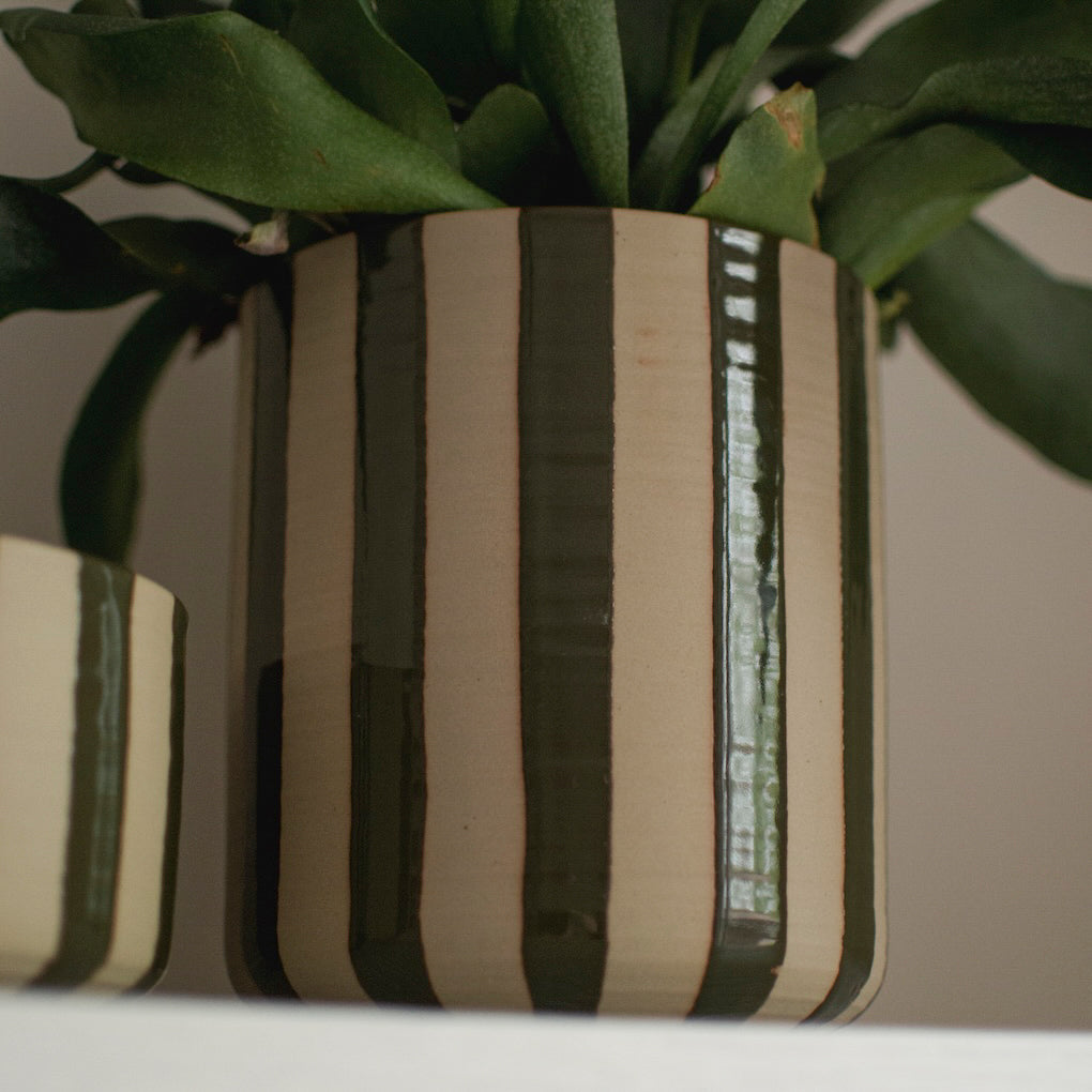 Schale Line - stripe grün