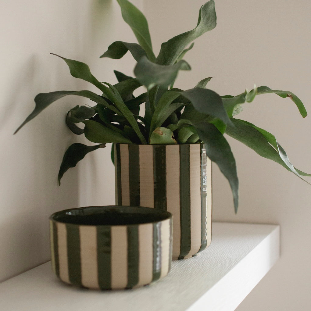 Schale Line - stripe grün