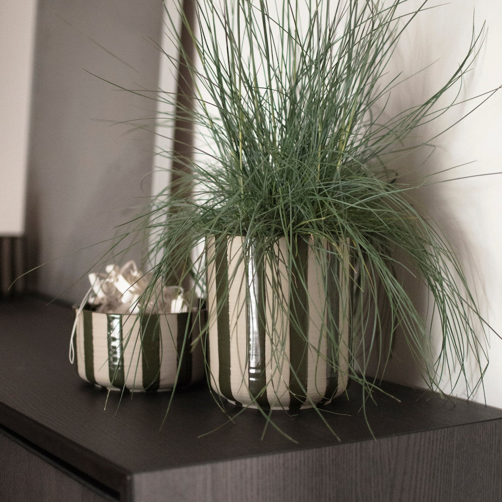 Schale Line - stripe grün
